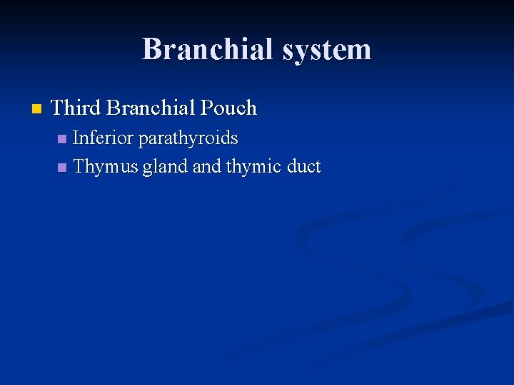 Branchial system n Third Branchial Pouch Inferior parathyroids n Thymus gland thymic duct n Branchial system n Third Branchial Pouch Inferior parathyroids n Thymus gland thymic duct n