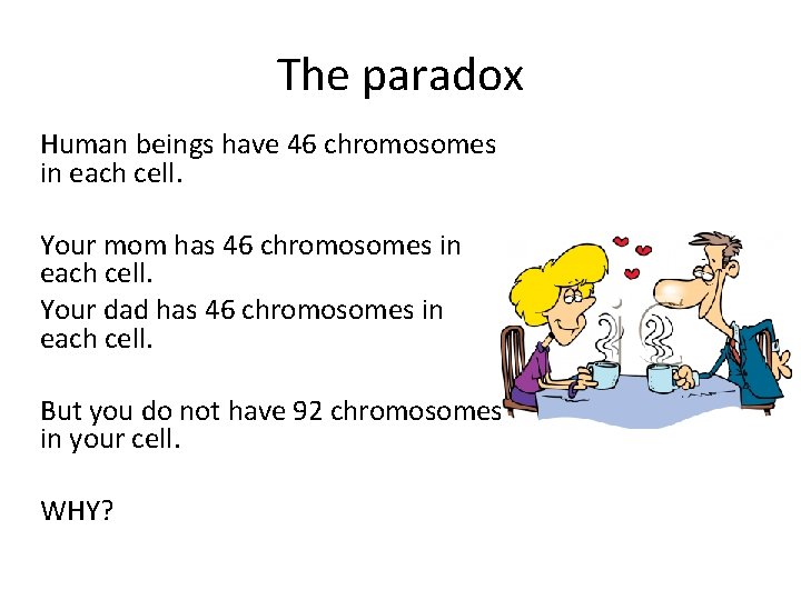 The paradox Human beings have 46 chromosomes in each cell. Your mom has 46