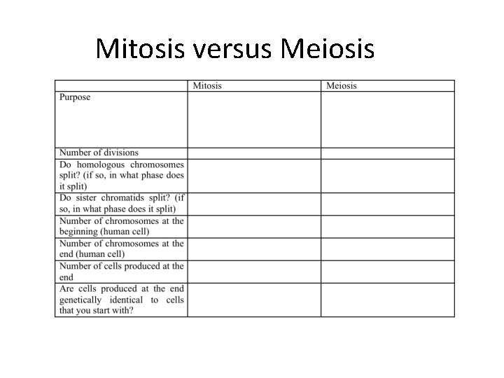 Mitosis versus Meiosis 