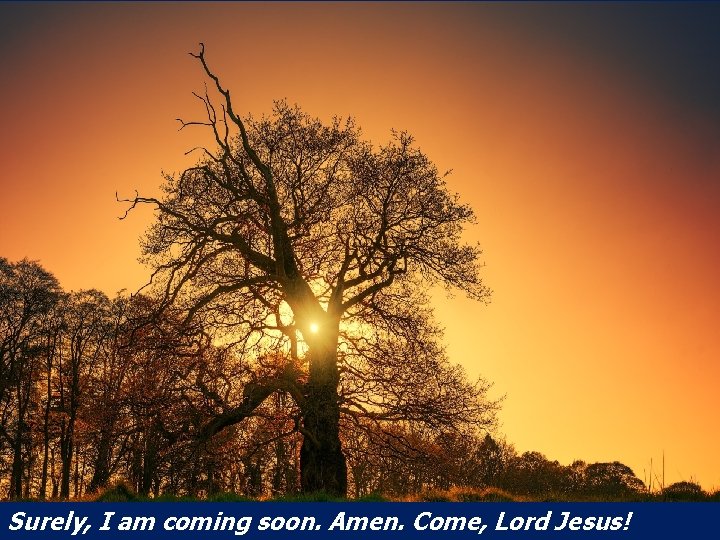 Surely, I am coming soon. Amen. Come, Lord Jesus! 