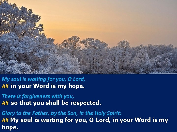 My soul is waiting for you, O Lord, All in your Word is my