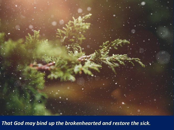 That God may bind up the brokenhearted and restore the sick. 