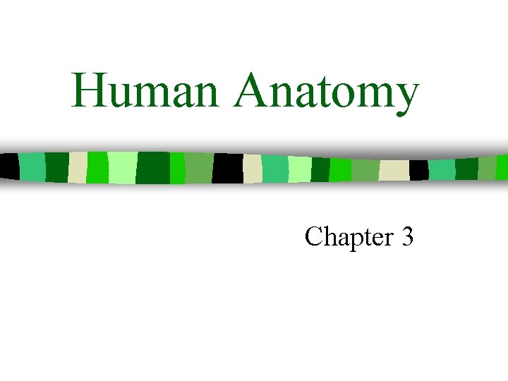 Human Anatomy Chapter 3 