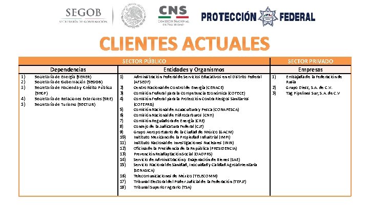 CLIENTES ACTUALES 1) 2) 3) 4) 5) Dependencias Secretaría de Energía (SENER) Secretaría de