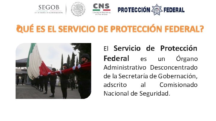 El Servicio de Protección Federal es un Órgano Administrativo Desconcentrado de la Secretaría de