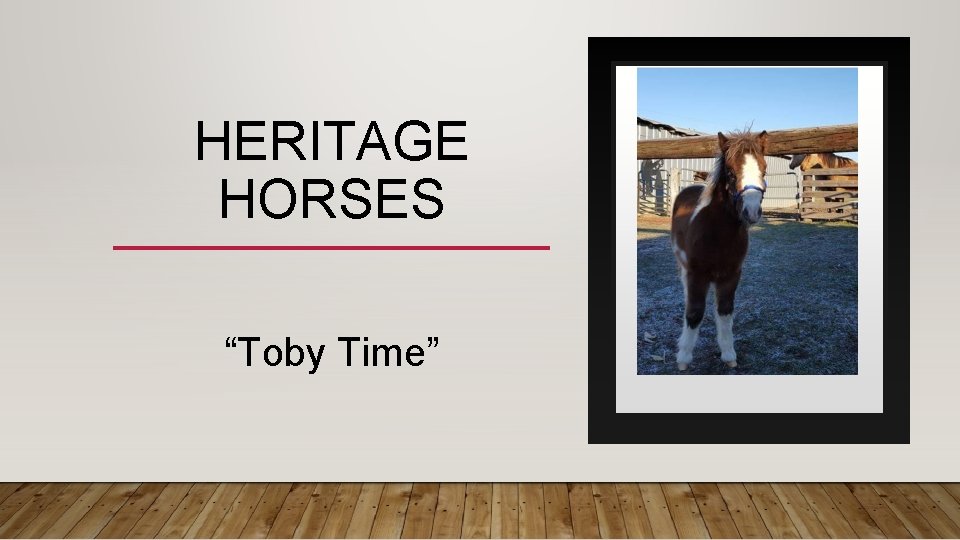 HERITAGE HORSES “Toby Time” 