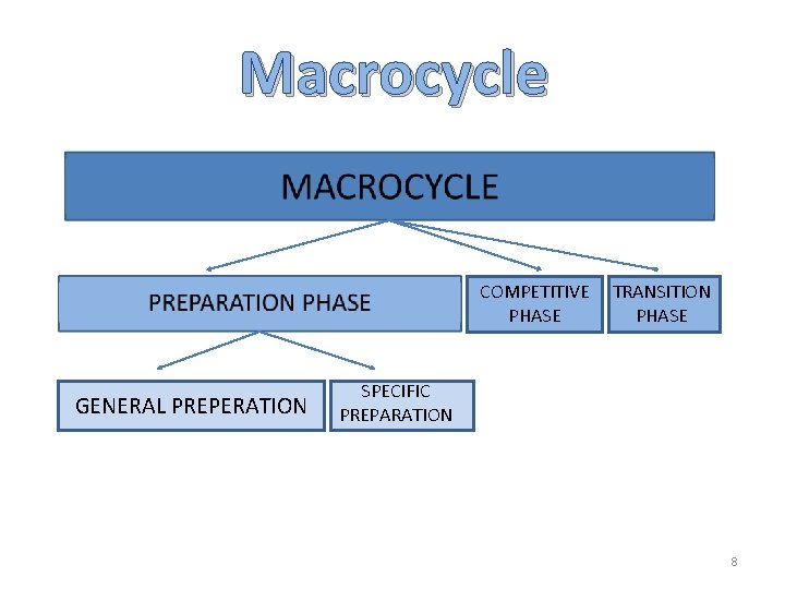 Macrocycle COMPETITIVE PHASE GENERAL PREPERATION TRANSITION PHASE SPECIFIC PREPARATION 8 