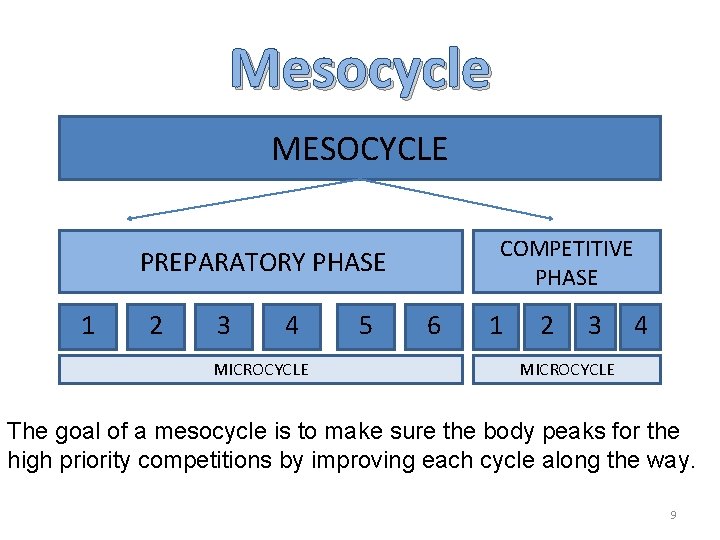Mesocycle MESOCYCLE COMPETITIVE PHASE PREPARATORY PHASE 1 2 3 4 MICROCYCLE 5 6 1