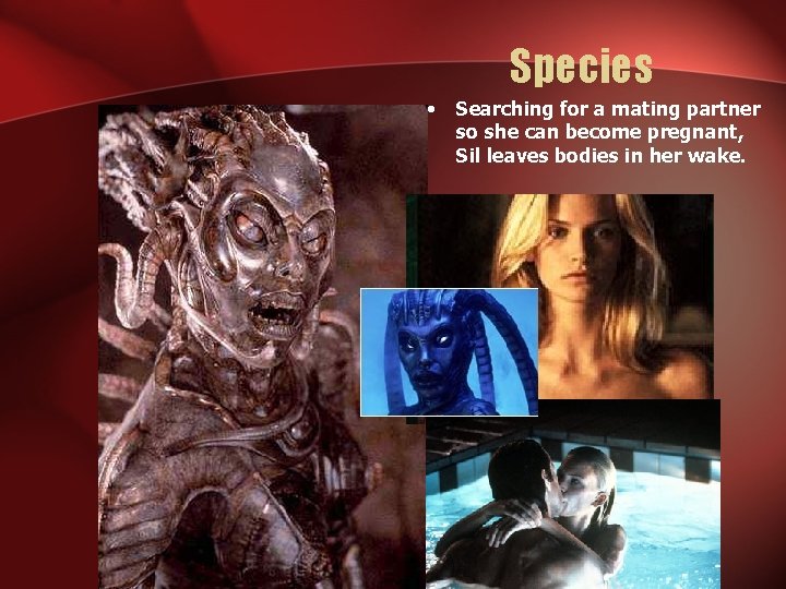 Species • Searching for a mating partner so she can become pregnant, Sil leaves