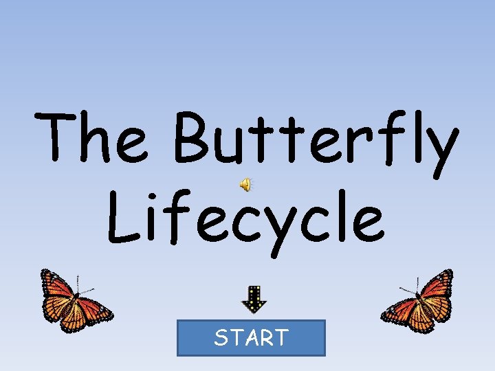The Butterfly Lifecycle START 