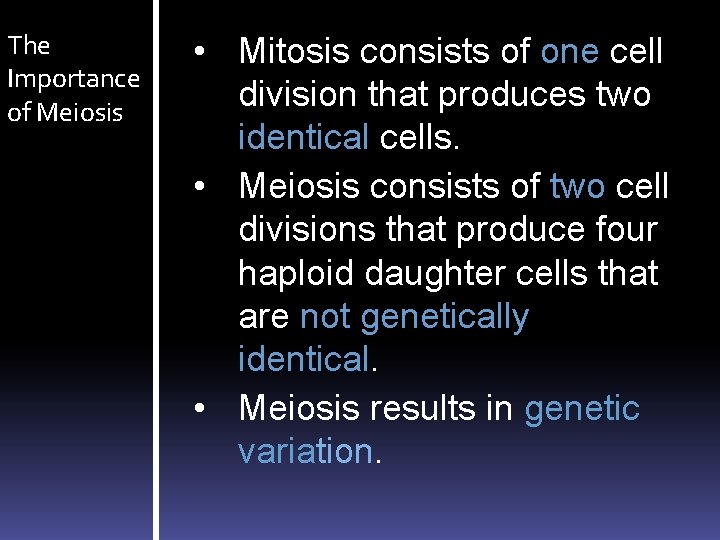 The Importance of Meiosis • Mitosis consists of one cell division that produces two