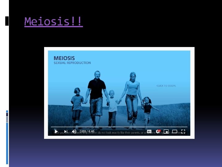 Meiosis!! 