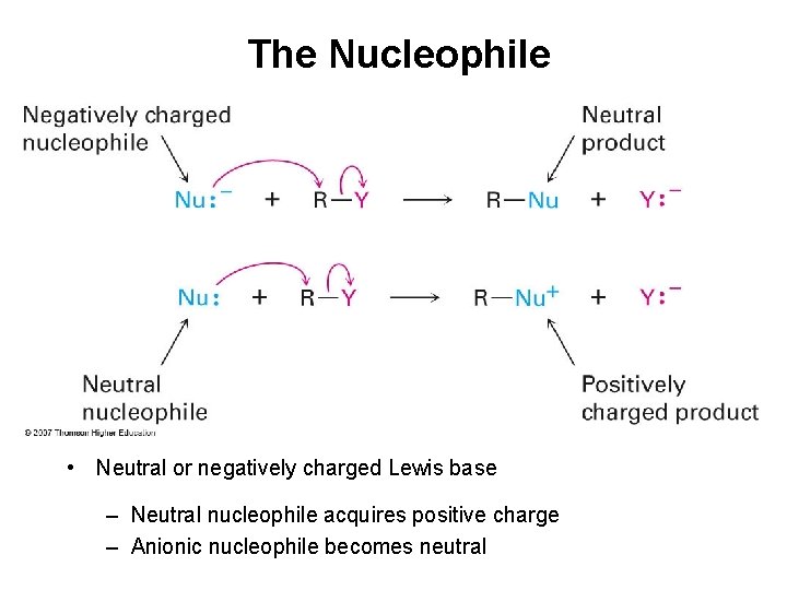 The Nucleophile • Neutral or negatively charged Lewis base – Neutral nucleophile acquires positive