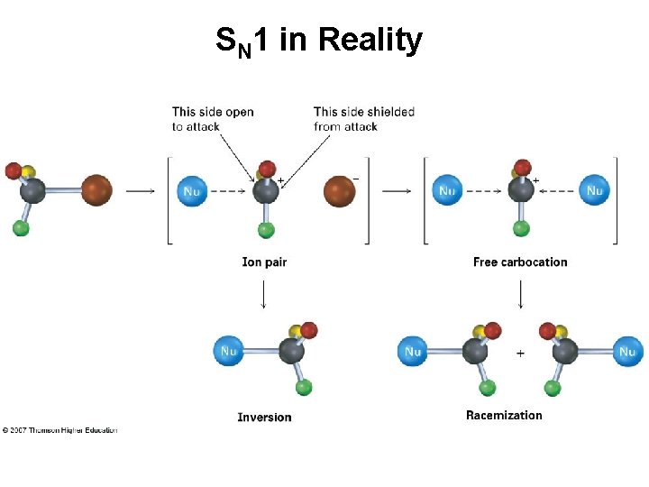 SN 1 in Reality 