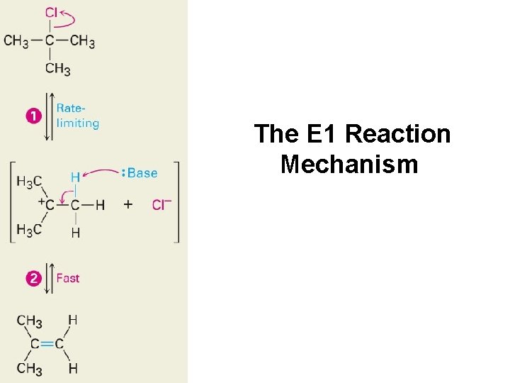 The E 1 Reaction Mechanism 