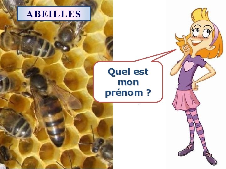 ABEILLES Quel est mon prénom ? 