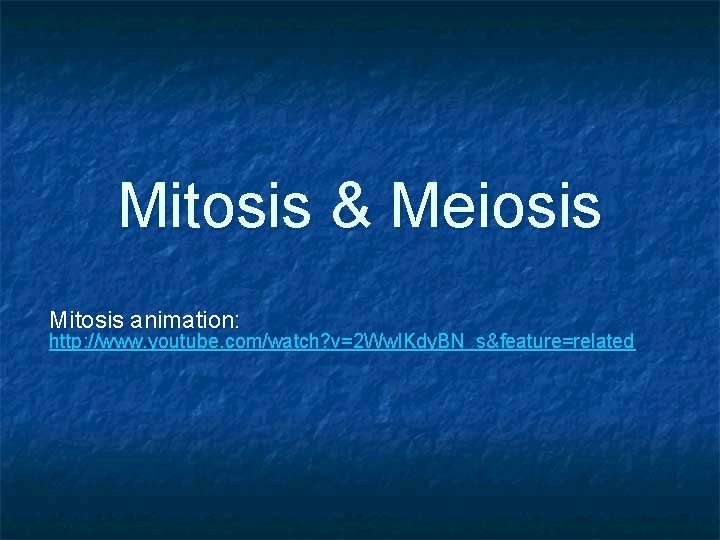 Mitosis & Meiosis Mitosis animation: http: //www. youtube. com/watch? v=2 Ww. IKdy. BN_s&feature=related 