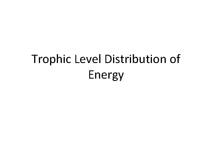 Trophic Level Distribution of Energy 