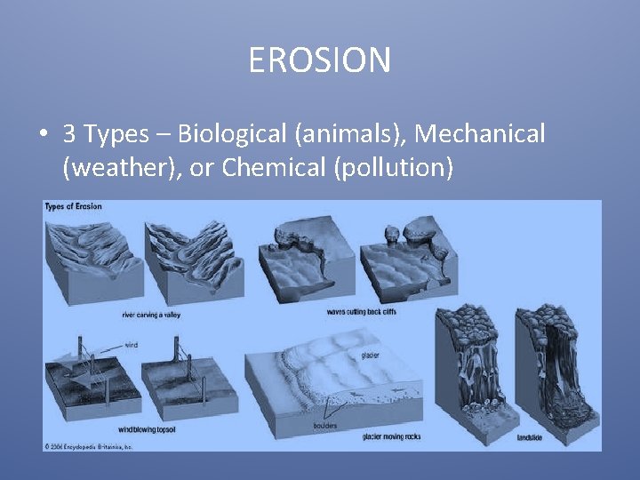 EROSION • 3 Types – Biological (animals), Mechanical (weather), or Chemical (pollution) 