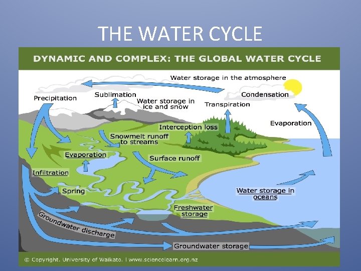 THE WATER CYCLE 