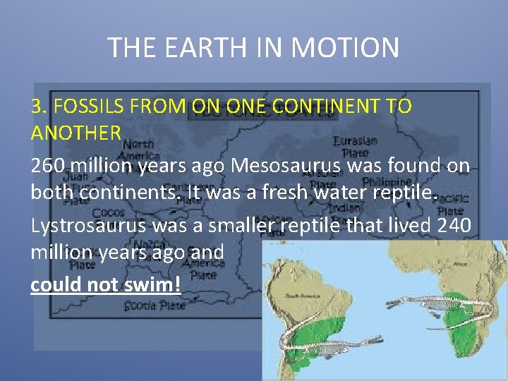 THE EARTH IN MOTION 3. FOSSILS FROM ON ONE CONTINENT TO ANOTHER 260 million