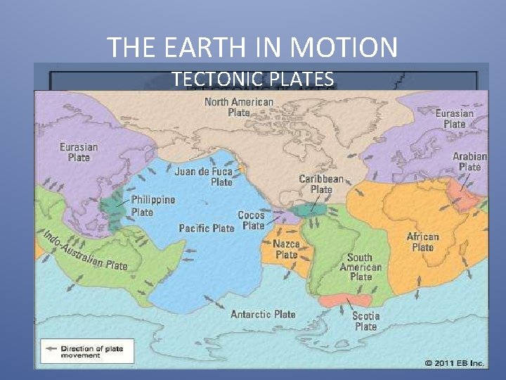 THE EARTH IN MOTION TECTONIC PLATES 