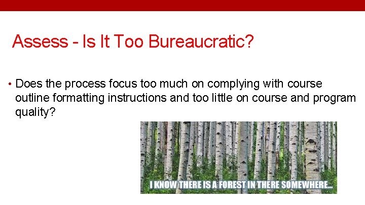 Assess - Is It Too Bureaucratic? • Does the process focus too much on