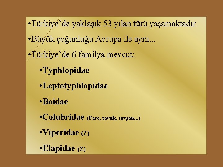  • Türkiye’de yaklaşık 53 yılan türü yaşamaktadır. • Büyük çoğunluğu Avrupa ile aynı.