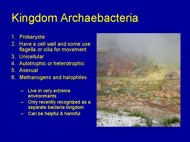 Kingdom Archaebacteria 1. Prokaryote 2. Have a cell wall and some use flagella or