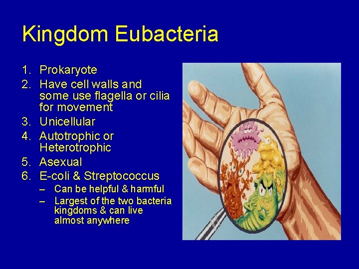 Kingdom Eubacteria 1. Prokaryote 2. Have cell walls and some use flagella or cilia