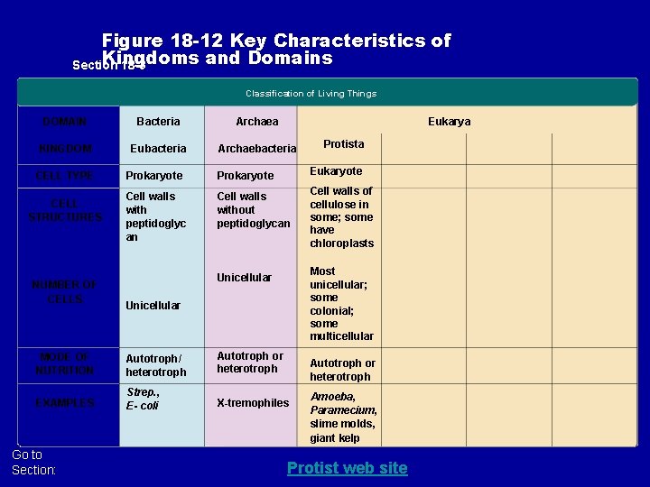 Figure 18 -12 Key Characteristics of Kingdoms and Domains Section 18 -3 Classification of