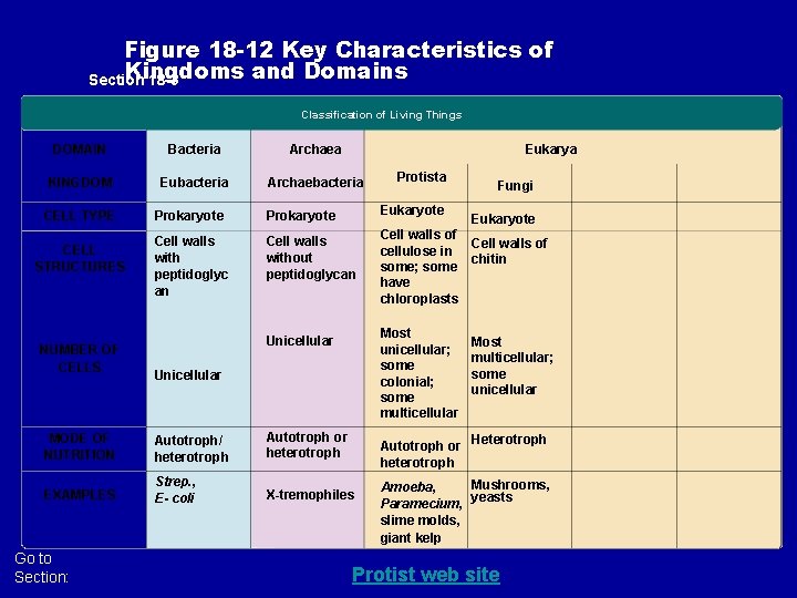Figure 18 -12 Key Characteristics of Kingdoms and Domains Section 18 -3 Classification of Figure 18 -12 Key Characteristics of Kingdoms and Domains Section 18 -3 Classification of