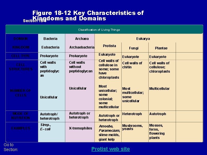 Figure 18 -12 Key Characteristics of Kingdoms and Domains Section 18 -3 Classification of Figure 18 -12 Key Characteristics of Kingdoms and Domains Section 18 -3 Classification of
