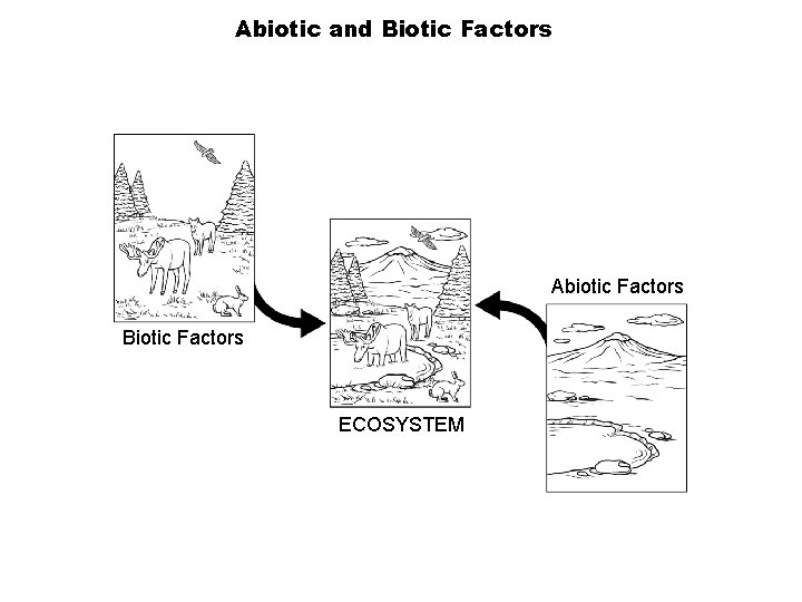 Abiotic and Biotic Factors Section 4 -2 Abiotic Factors Biotic Factors ECOSYSTEM Go to