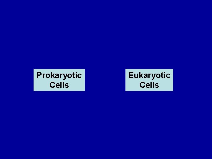 Prokaryotic Cells Eukaryotic Cells 