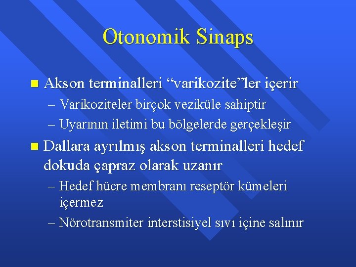 Otonomik Sinaps n Akson terminalleri “varikozite”ler içerir – Varikoziteler birçok veziküle sahiptir – Uyarının