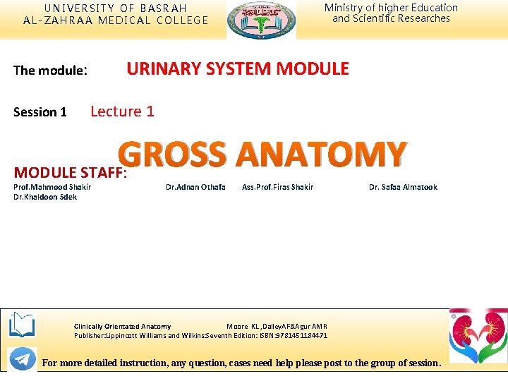Ministry of higher Education and Scientific Researches UNIVERSITY OF BASRAH AL-ZAHRAA MEDICAL COLLEGE URINARY