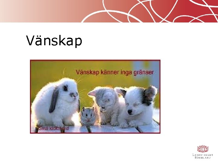 Vänskap 