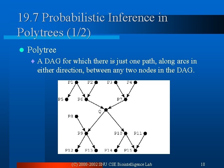19. 7 Probabilistic Inference in Polytrees (1/2) l Polytree ¨ A DAG for which