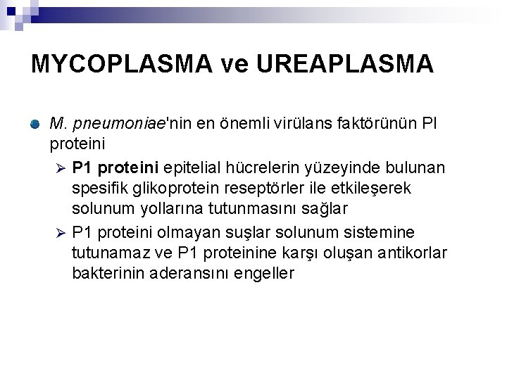 MYCOPLASMA ve UREAPLASMA M. pneumoniae'nin en önemli virülans faktörünün PI proteini Ø P 1