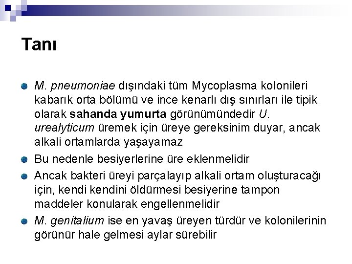 Tanı M. pneumoniae dışındaki tüm Mycoplasma ko. Ionileri kabarık orta bölümü ve ince kenarlı