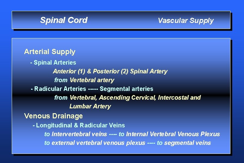 Spinal Cord Vascular Supply Arterial Supply - Spinal Arteries Anterior (1) & Posterior (2)