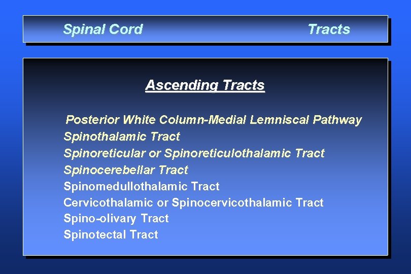 Spinal Cord Tracts Ascending Tracts Posterior White Column-Medial Lemniscal Pathway Spinothalamic Tract Spinoreticular or
