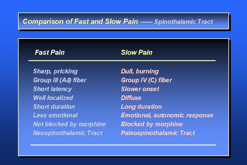 Comparison of Fast and Slow Pain ------ Spinothalamic Tract Fast Pain Sharp, pricking Group