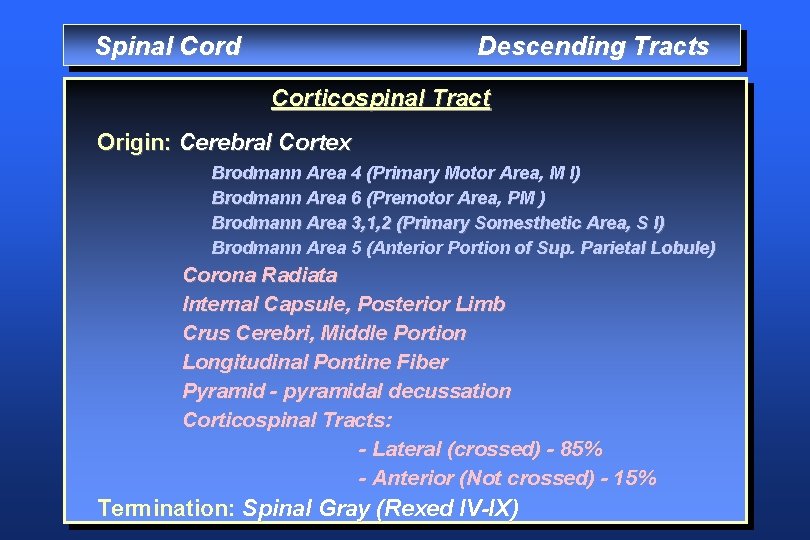 Spinal Cord Descending Tracts Corticospinal Tract Origin: Cerebral Cortex Brodmann Area 4 (Primary Motor