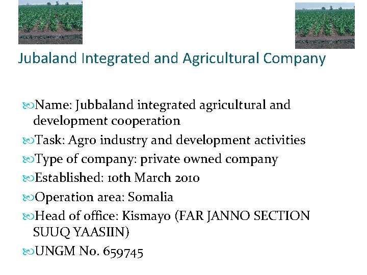 Jubaland Integrated and Agricultural Company Name: Jubbaland integrated agricultural and development cooperation Task: Agro