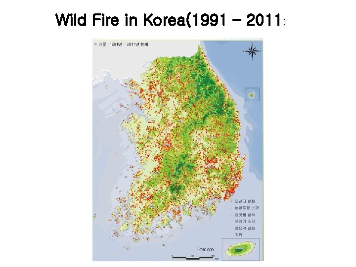 Wild Fire in Korea(1991 – 2011) 