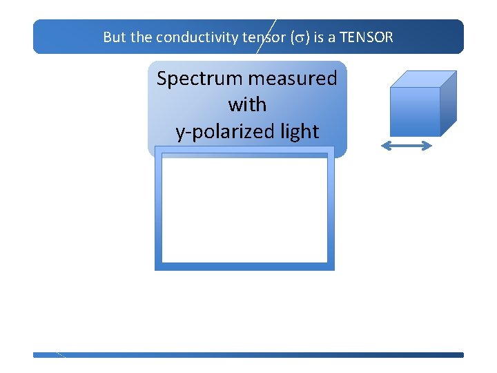 But the conductivity tensor (s) is a TENSOR Spectrum measured with y-polarized light 