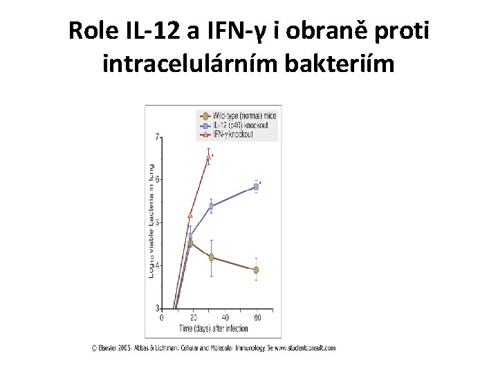 Role IL-12 a IFN-γ i obraně proti intracelulárním bakteriím 