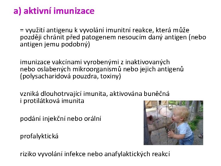 a) aktivní imunizace = využití antigenu k vyvolání imunitní reakce, která může později chránit